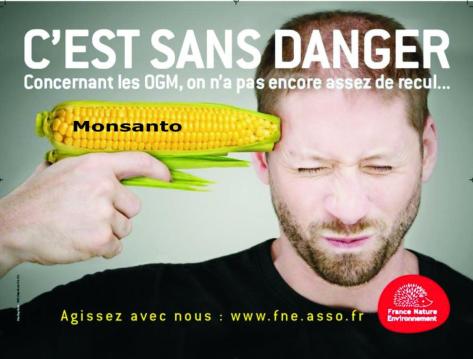 GMO_Corn_Monsanto_01-128